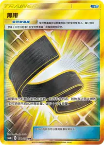 Karate Belt V2