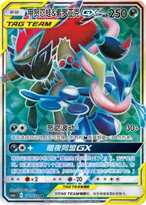 Amphinobi et Zoroark-GX