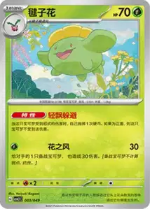 Skiploom V1