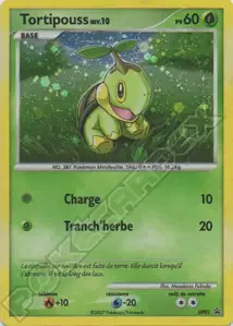 Tortipouss