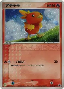 Torchic