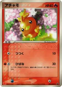 Torchic
