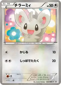 Minccino V1 BW