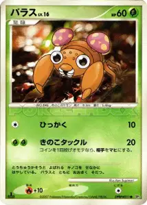 Paras Lv16