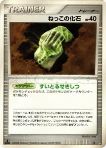 Root Fossil