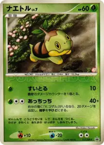 Turtwig