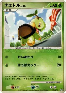 Turtwig Lv10