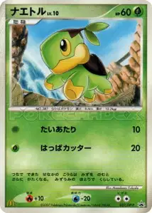 Turtwig Lv10