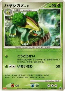 Grotle Lv21