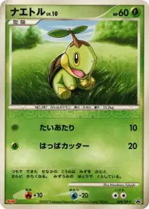 Turtwig