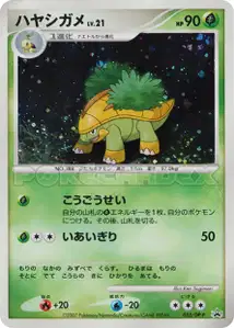 Grotle Lv21