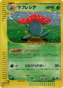 Rafflesia