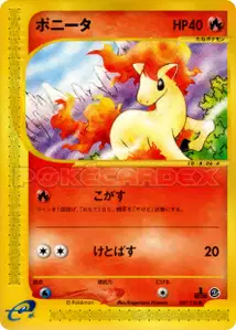 Ponyta