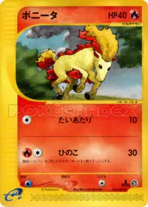 Ponyta