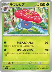 Rafflesia
