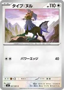 Type Null