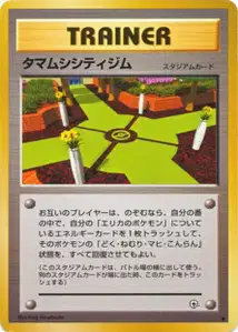 Celadon City Gym