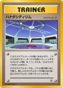 Cerulean City Gym