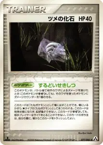 Claw Fossil