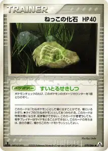Root Fossil