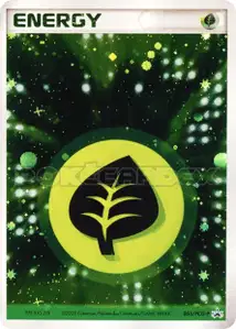 Grass