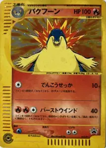 Typhlosion P