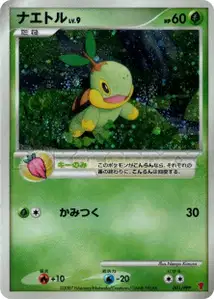 Turtwig Lv9 PPP