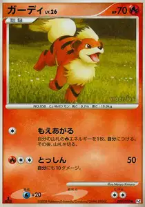 Growlithe Lv26