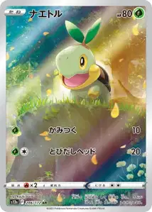 Turtwig V2