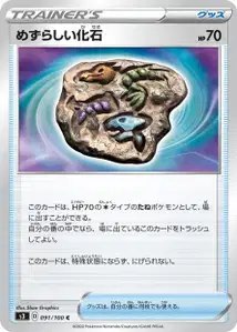 Rare Fossil