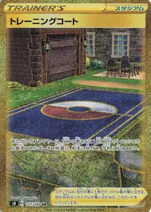 Cour d'Entraînement