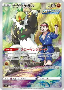 Passimian V2
