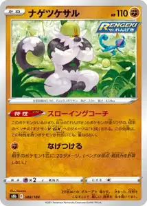 Passimian V1