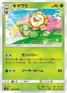 Sunflora