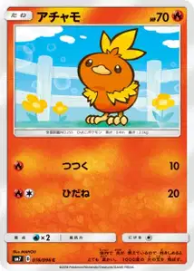 Torchic