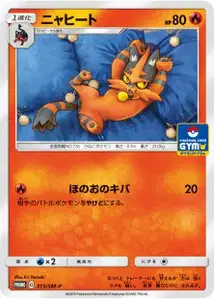 Torracat SM
