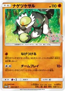Passimian V2 SM