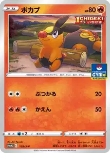 Tepig