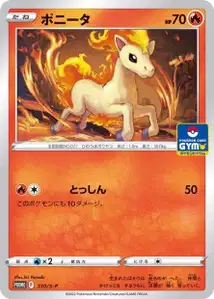 Ponyta S