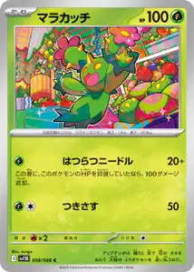 Maractus V1