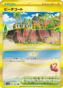 Terrain de Plage