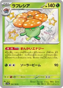 Rafflesia