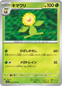 Sunflora V1