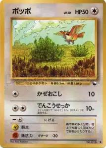 Pidgey