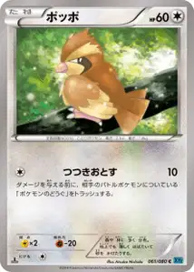 Pidgey