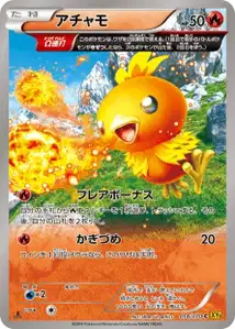 Torchic