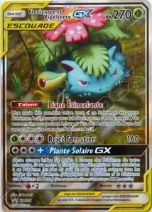Florizarre et Vipélierre GX