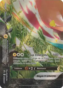 Morpeko V-UNION