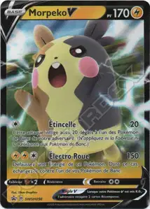 Morpeko V